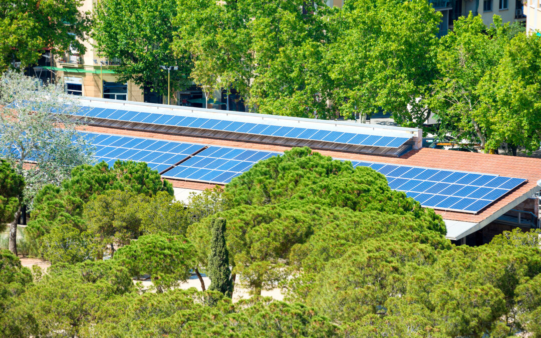 Publicación de nuevas convocatorias  de incentivos a proyectos piloto singulares de Comunidades Energéticas  (PROGRAMA CE IMPLEMENTA)