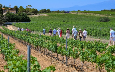 ADI Mancha Júcar-Centro inicia un interesante proyecto para desarrollar experiencias agroturísticas en la comarca