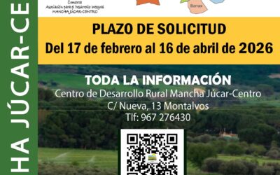 Mancha Júcar-Centro publica dos nuevas convocatorias de ayudas Leader para creación y modernización de empresas o instituciones